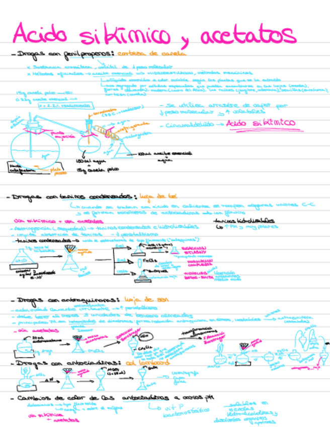 Miniatura del documento Practicas.pdf