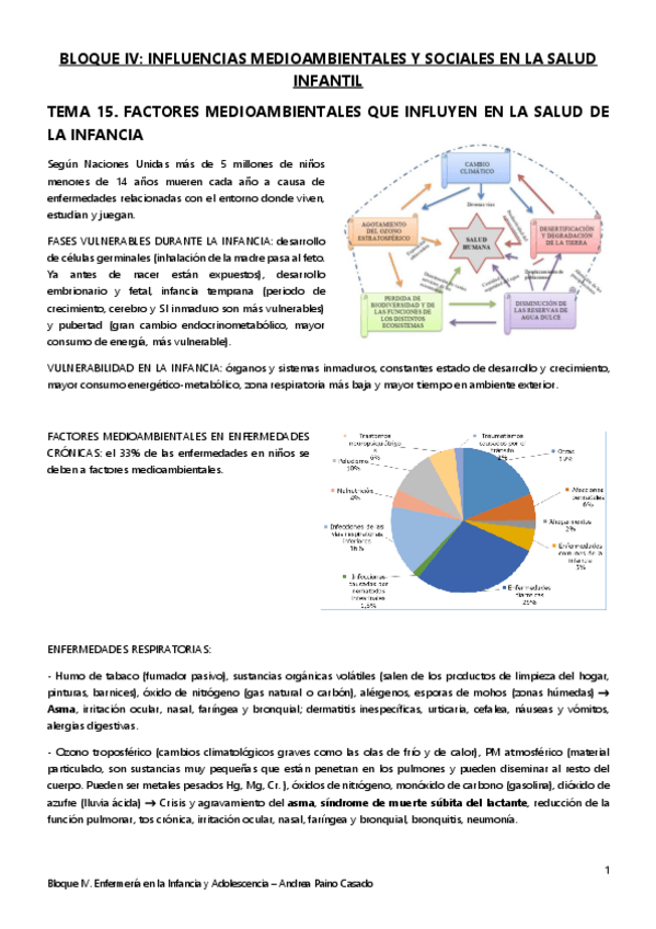 Miniatura del documento Tema-15.-Factores-medioambientales-que-influyen-en-la-infancia.pdf