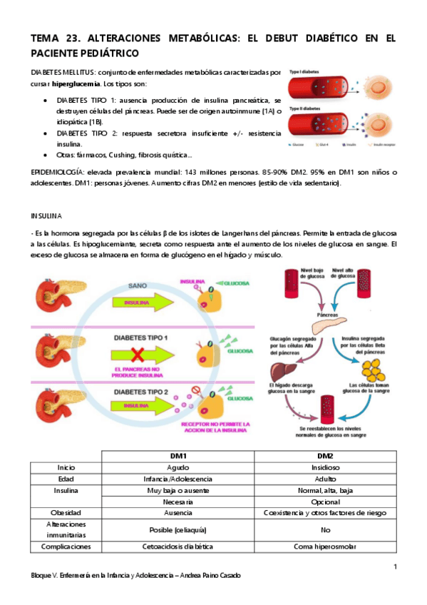 Miniatura del documento Tema-23.-Alteraciones-metabolicas-el-debut-diabetico-en-el-paciente-pediatrico.pdf
