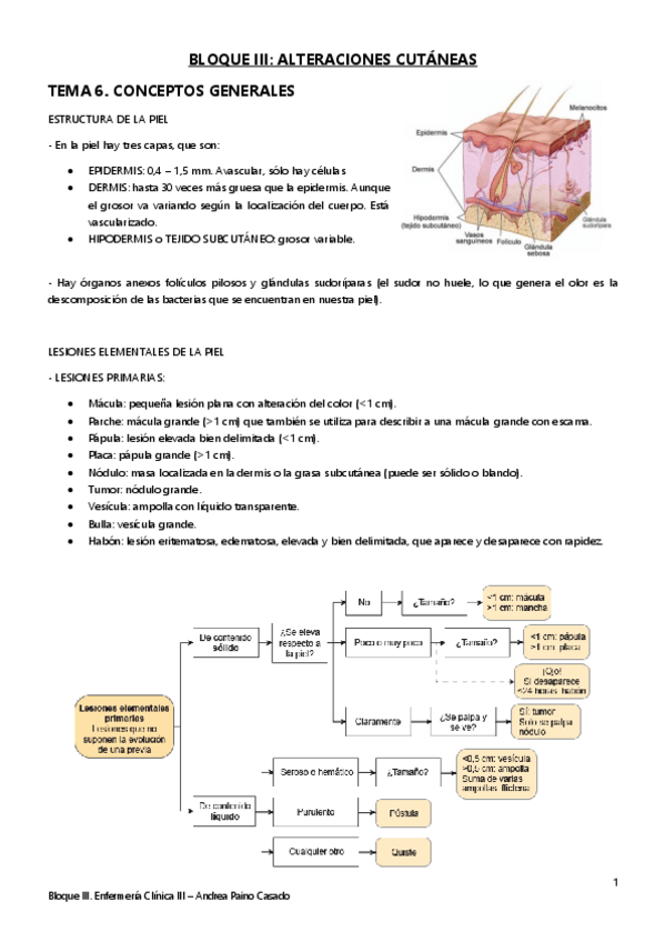 Miniatura del documento Tema-6.-Conceptos-generales.pdf