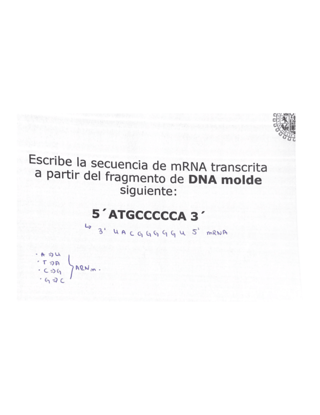 Miniatura del documento tema-11.-Replicacion.pdf