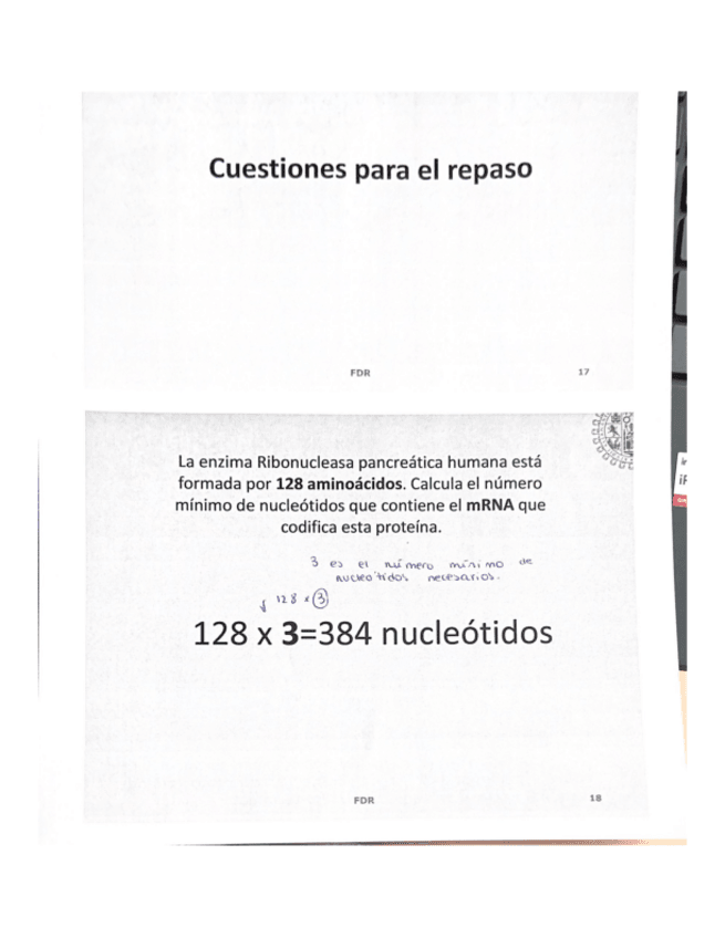 Miniatura del documento tema-13.-Traduccion.pdf