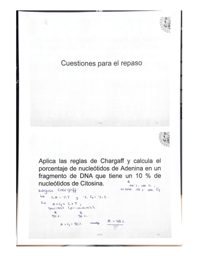 Miniatura del documento tema-6.-Acidos-nucleicos.pdf