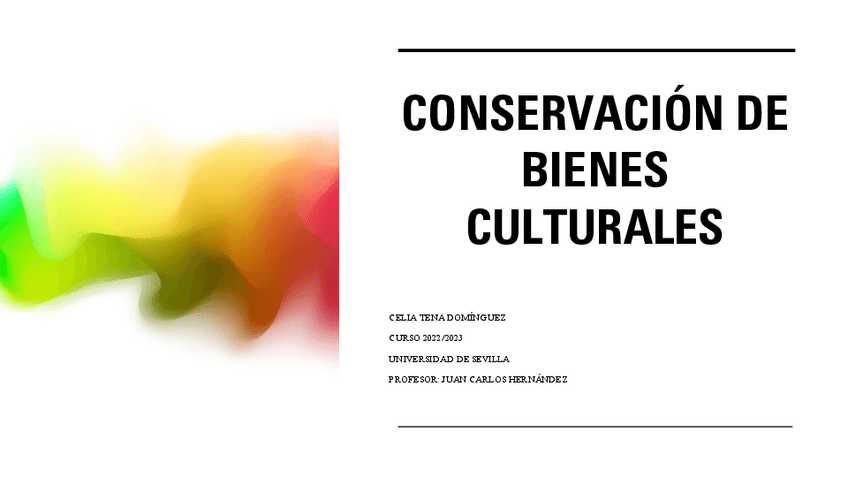 Miniatura del documento CONSERVACION-DE-BIENES-CULTURALES.pdf