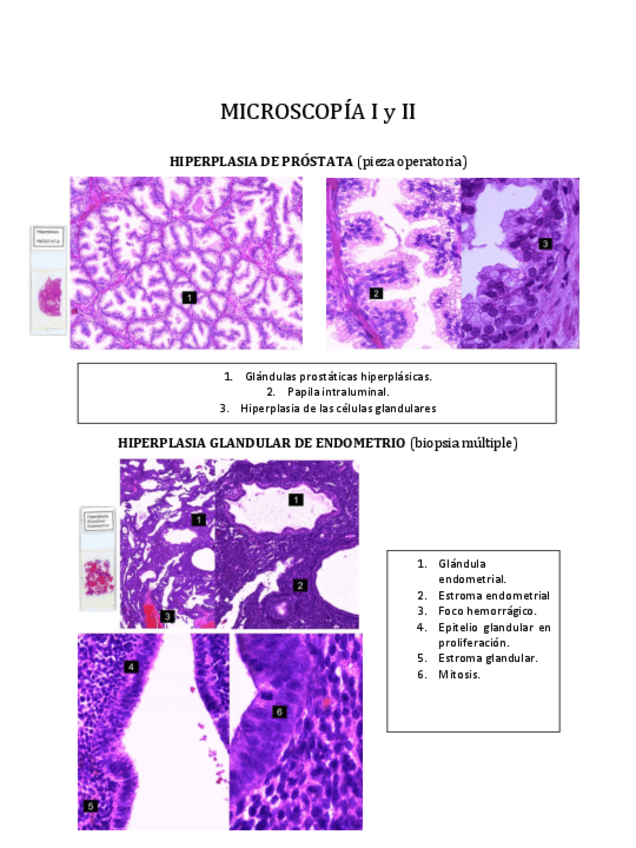 Miniatura del documento APG-PRACTICO-IMAGENES.pdf