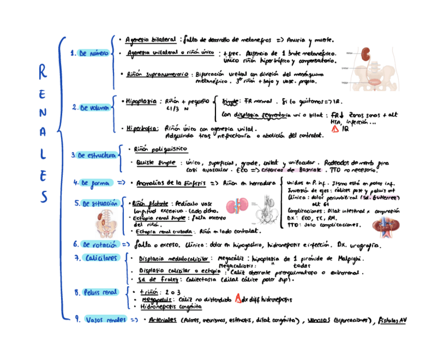 Miniatura del documento MALFORMACIONES-UROLOGICAS.pdf