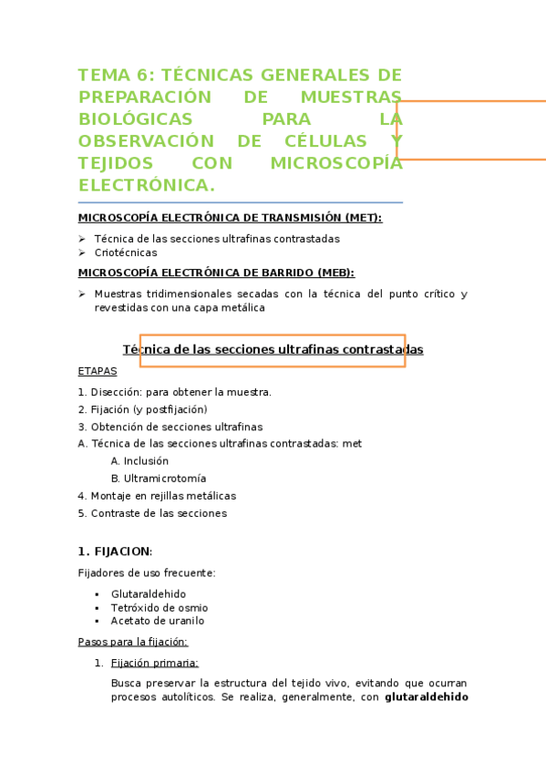 Miniatura del documento TEMA 6.docx
