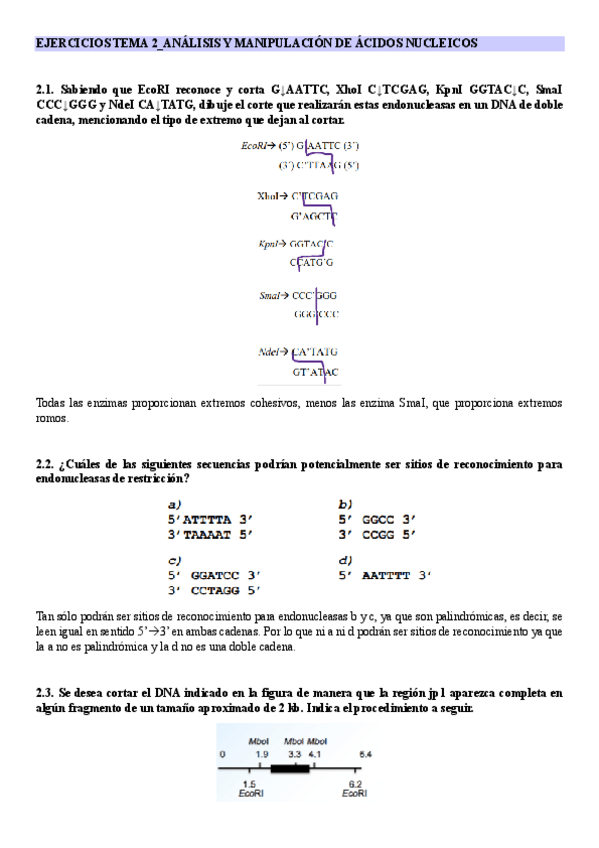 Miniatura del documento EJERCICIOS-GMIG-22-23.pdf