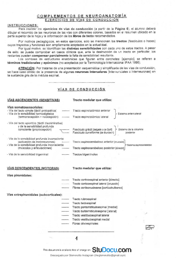 Miniatura del documento Apunte-pro-forlizzi-NEURO.pdf