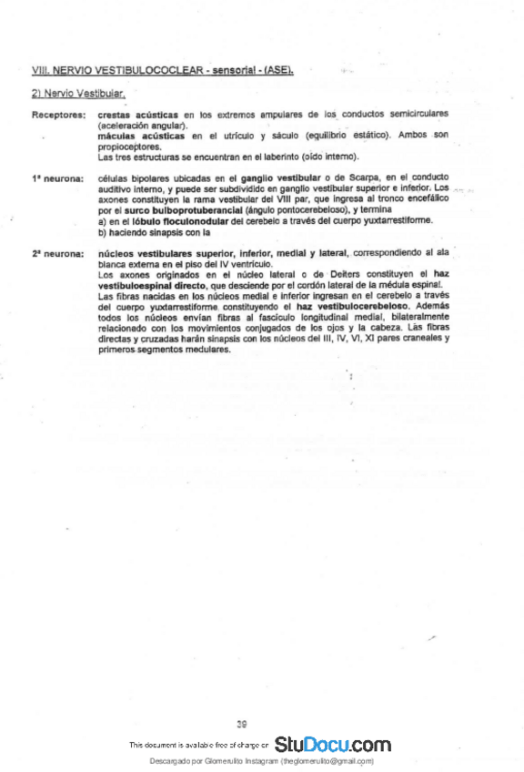 Miniatura del documento APUNTES-ANATOMIA-10.pdf