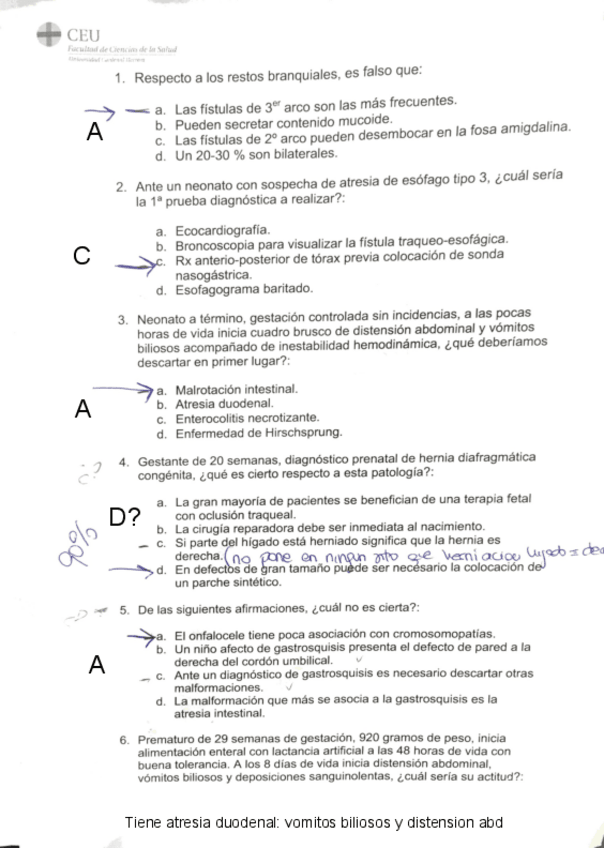 Miniatura del documento FINAL-respuestas.pdf