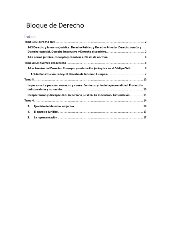 Miniatura del documento Principios-Juridicos-Alberto.pdf