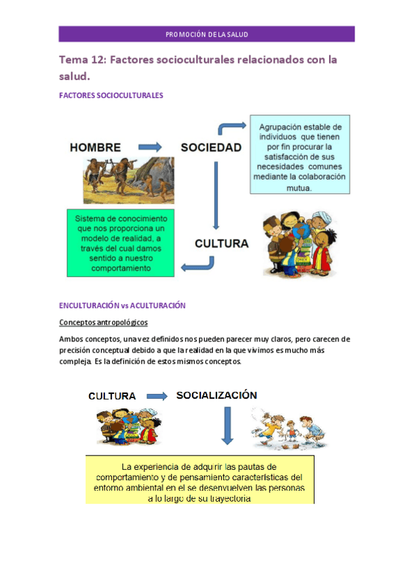 Miniatura del documento Tema-12-PROMOCION.pdf