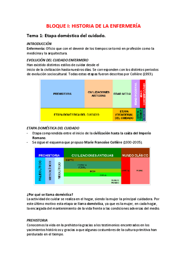 Miniatura del documento TEMA-1-HISTORIA.pdf