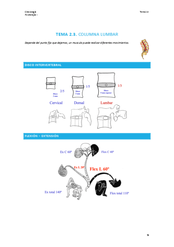 Miniatura del documento TEMA-2.3-CINESIOLOGIA.pdf