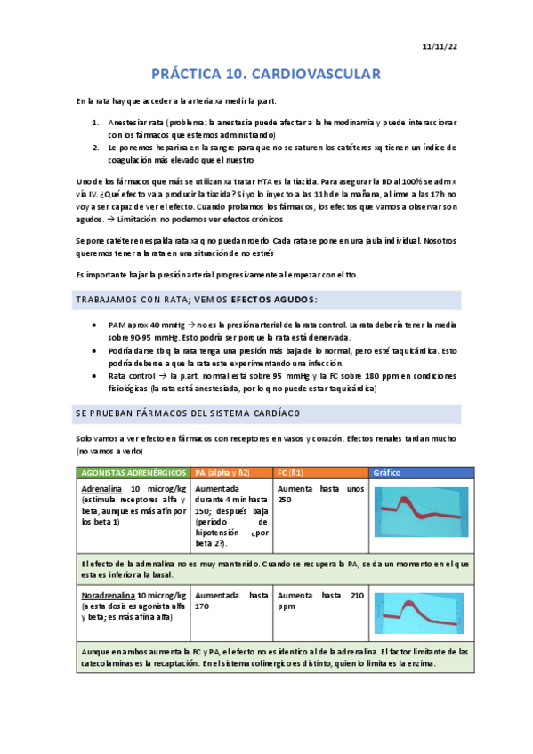 Miniatura del documento PRACTICA-CARDIOVASCULAR.pdf