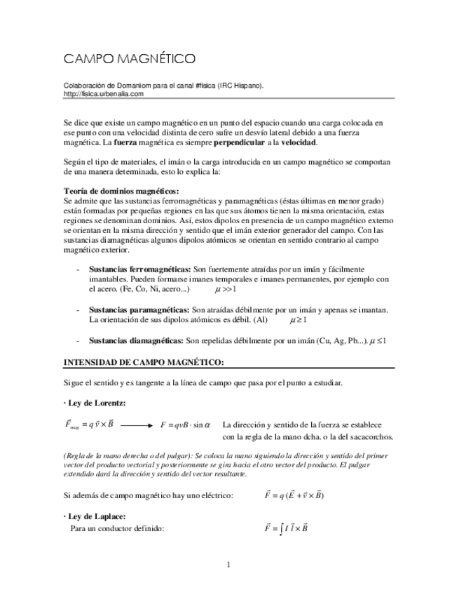Miniatura del documento campomagnetico.pdf