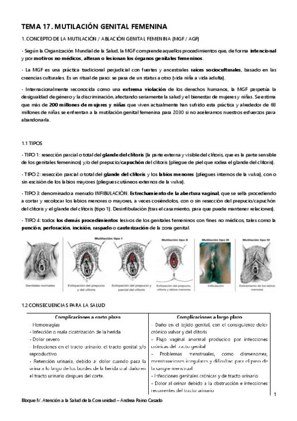 Miniatura del documento Tema-17.-Mutilacion-genital-femenina.pdf