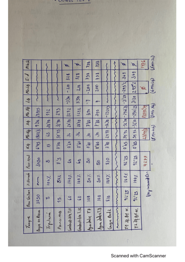 Miniatura del documento Problema-largo-teoria.pdf