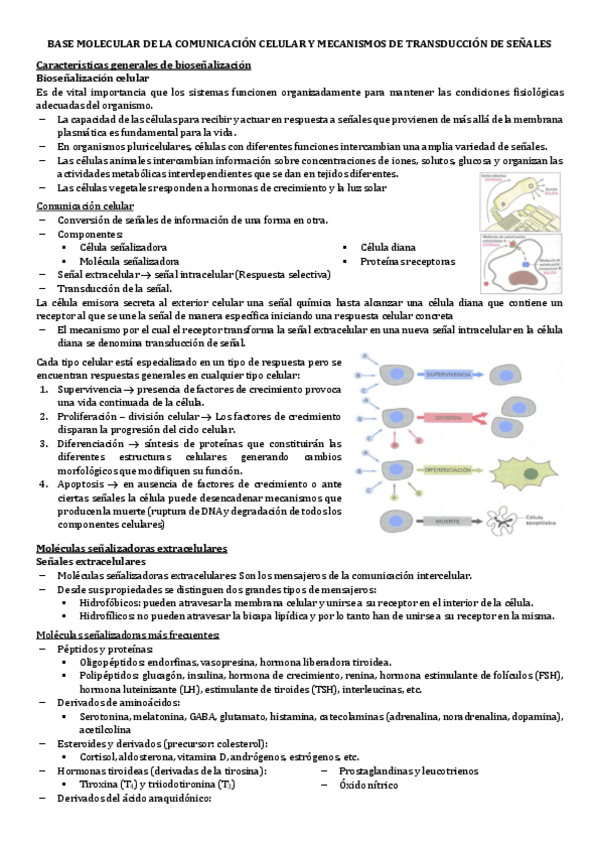 Miniatura del documento 8.-BASE-MOLECULAR-DE-LA-COMUNICACION-CELULAR-Y-MECANISMOS-DE-TRANSDUCCION-DE-SENALES.pdf