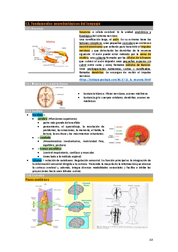 Miniatura del documento PSI-Apuntes3-Fundamentos-neurobiologico.pdf