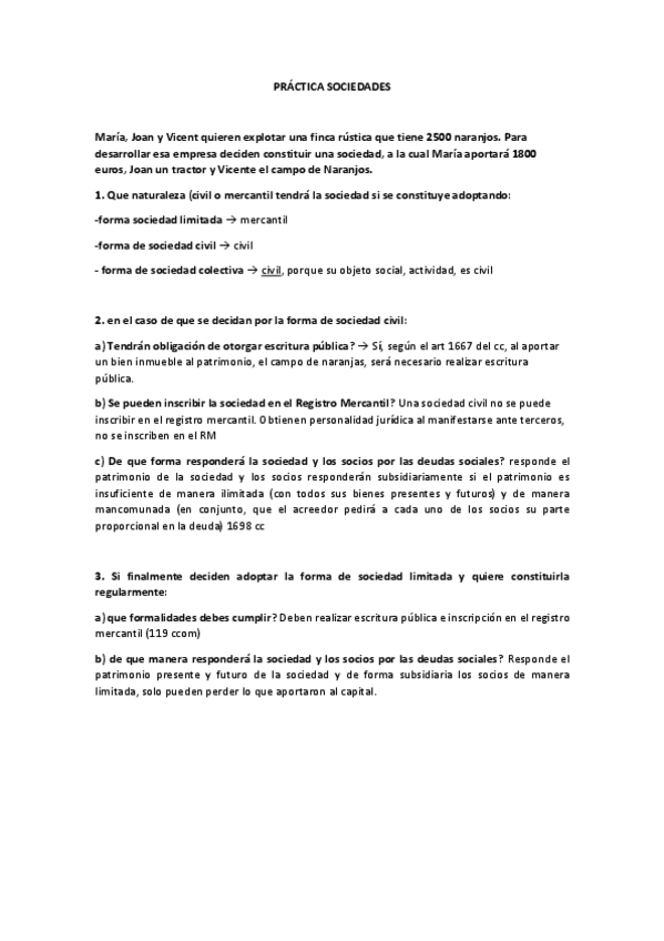 Miniatura del documento practica-sociedad-1.pdf