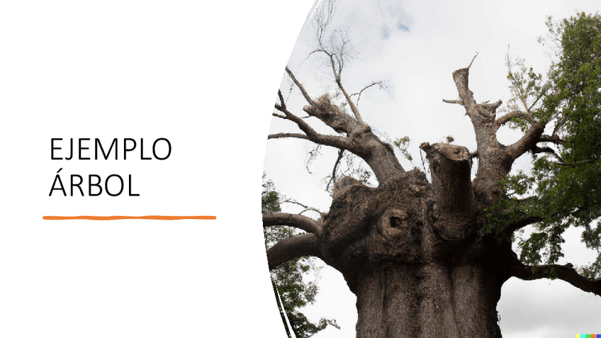 Miniatura del documento Tema8ArbolesDecisionEjemplo.pdf