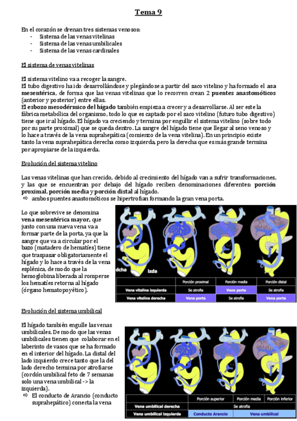 Miniatura del documento Tema-9.pdf