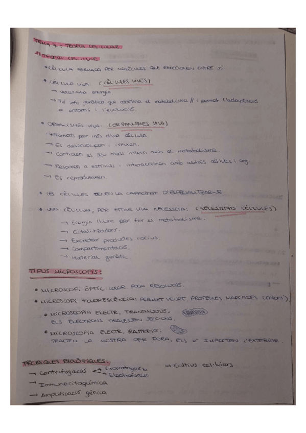 Miniatura del documento Tema-7-Teoria-cellular.pdf