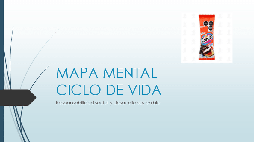 Miniatura del documento Ejemplo-ciclo-de-vida-de-un-producto.pdf