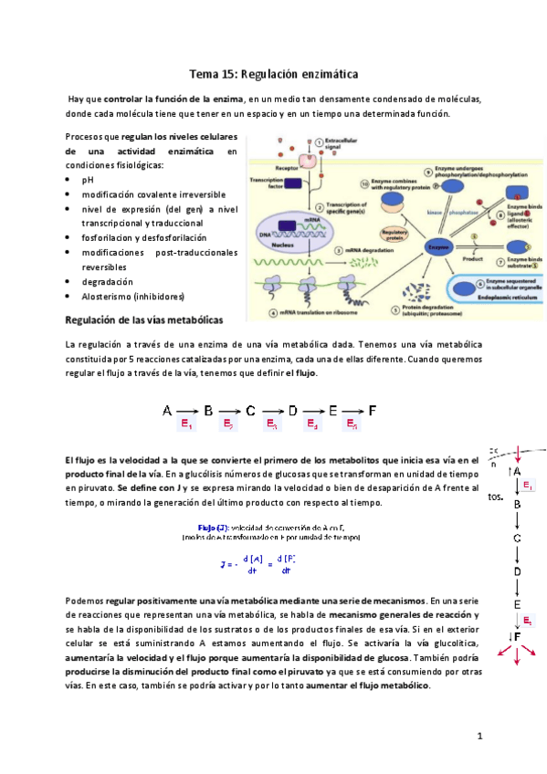 Miniatura del documento Tema-15.pdf