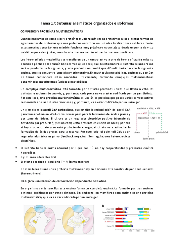 Miniatura del documento Tema-17.pdf