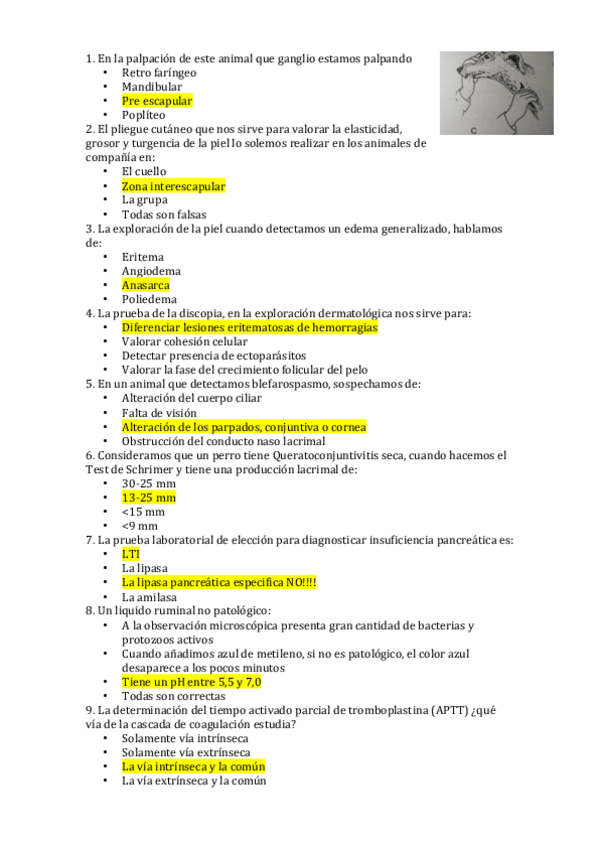 Miniatura del documento Examen-TD1.pdf