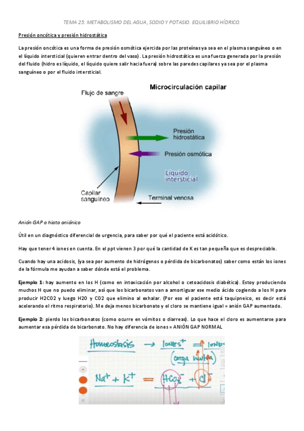 Miniatura del documento TEMA-25-RESUMIDO-METABOLISMO-AGUA-SODIO-Y-POTASIO-EQUILIBRIO-HIDRICO.pdf