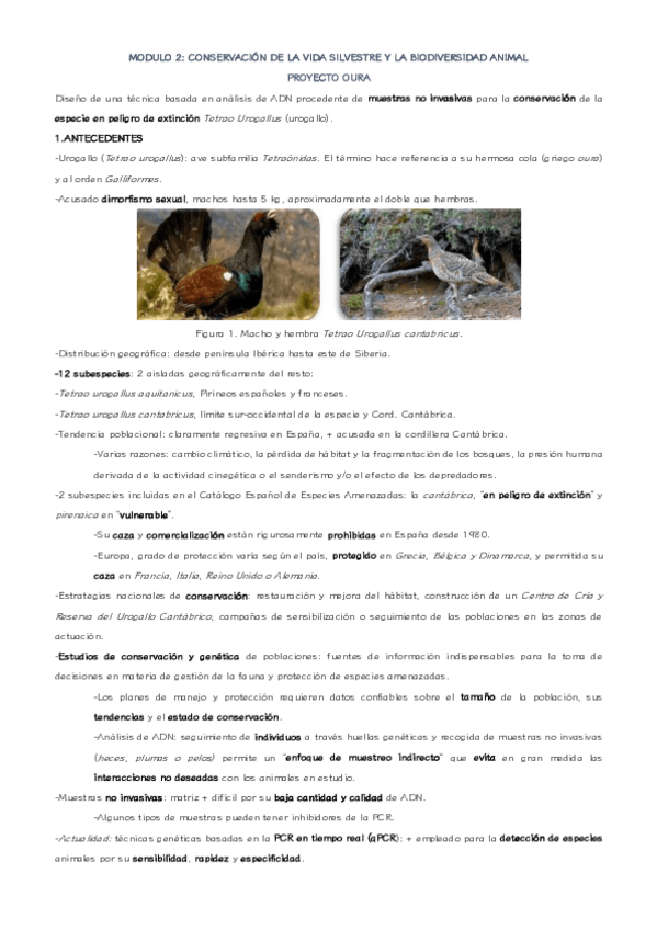 Miniatura del documento Laboratorio-urogallo-apuntes.pdf