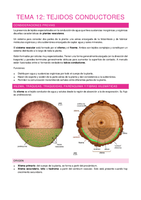 Miniatura del documento Tema-12.pdf