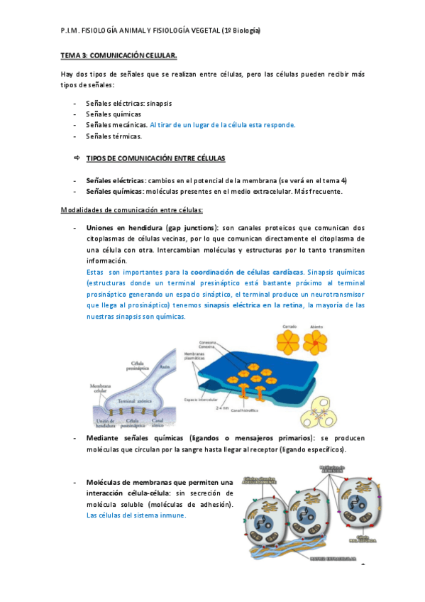 Miniatura del documento Tema 03. Comunicación celular..pdf