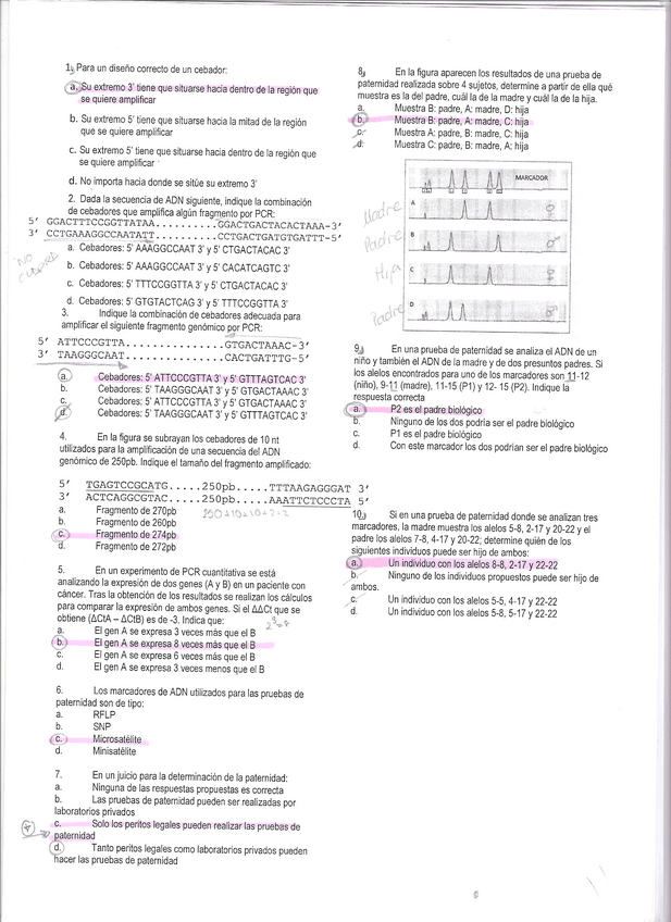 Miniatura del documento EXAMEN-SEMINARIOS-MET.-GENETICA.pdf