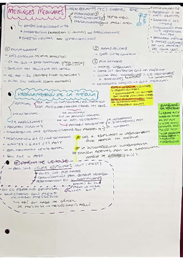 Miniatura del documento RESUMEN-T4-8/T11-13.pdf
