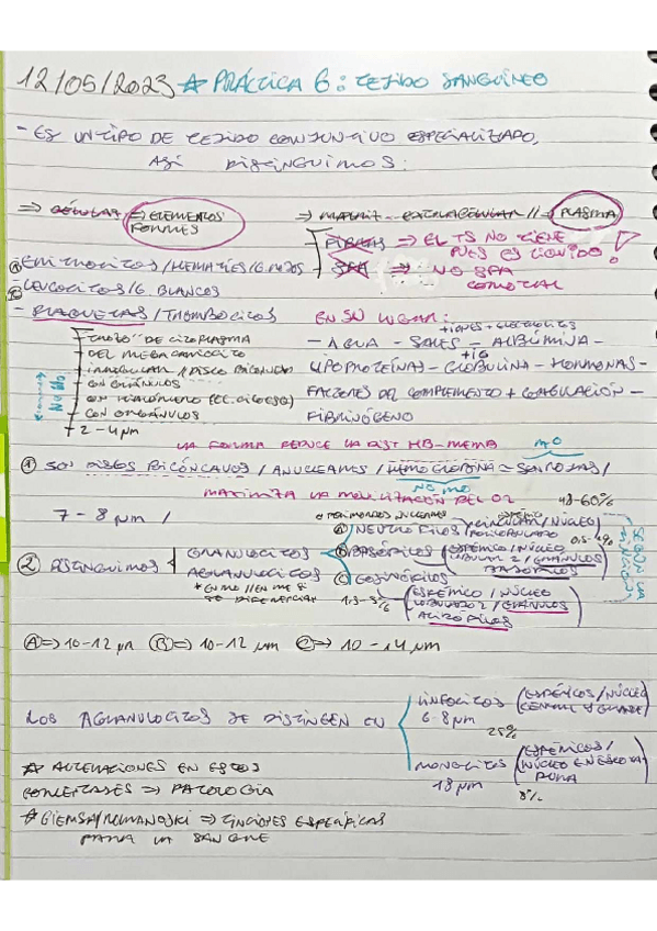 Miniatura del documento P6-8.pdf