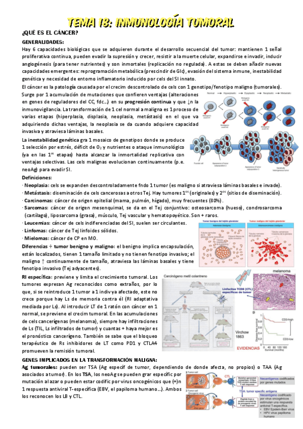 Miniatura del documento Tema-18.pdf
