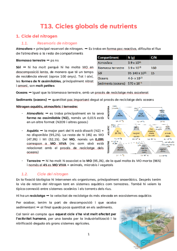 Miniatura del documento T13.-Cicles-del-N-S-i-P.pdf