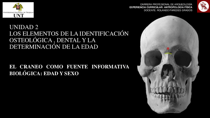 Miniatura del documento EL-CRANEO-COMO-FUENTE-INF.-BIOLOGICA-EDAD-Y-SEXO.pdf