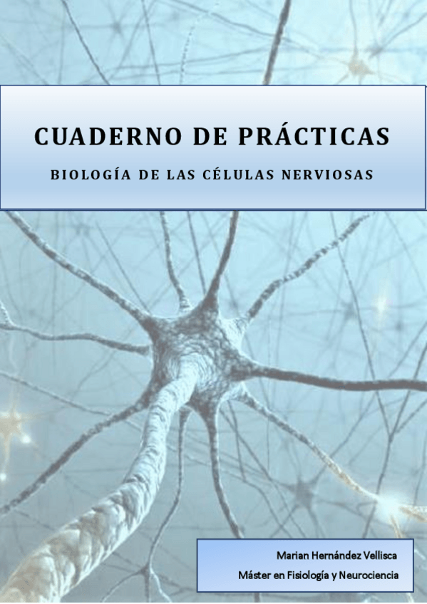 Miniatura del documento Prácticas BCN.pdf