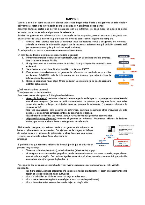 Miniatura del documento Tema-2MAPPING.pdf