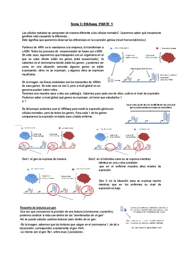 Miniatura del documento Tema-3-RNAseq.pdf