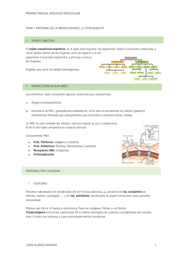 Miniatura del documento PRIMER-PARCIAL-BIOLOGIA-MOLECULAR-2022-2023.pdf