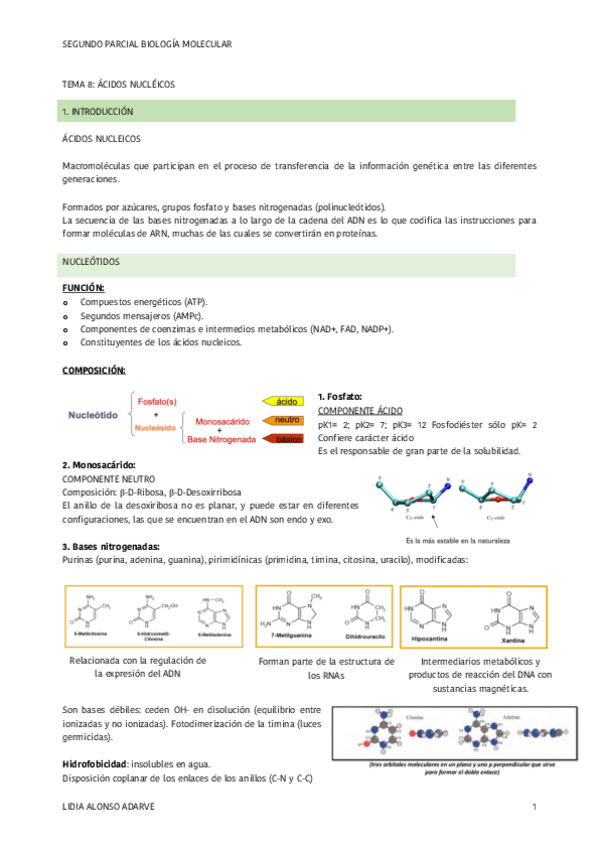 Miniatura del documento SEGUNDO-PARCIAL-BIOLOGIA-MOLECULAR-2022-2023.pdf