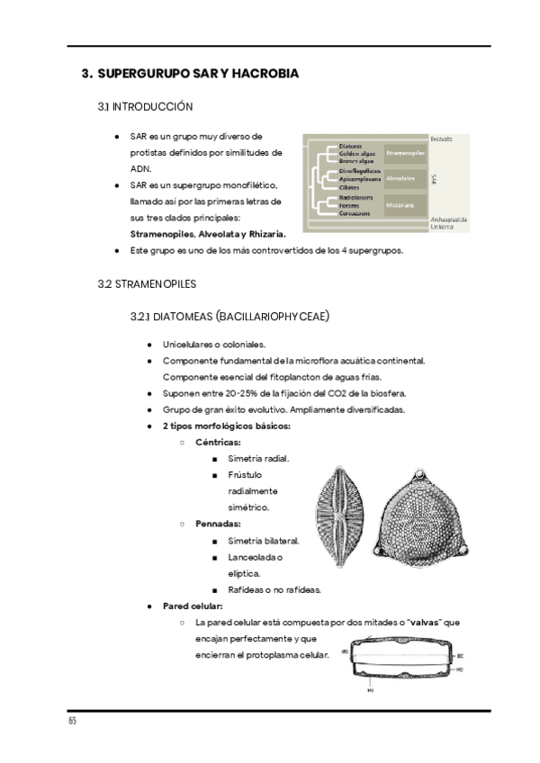 Miniatura del documento Apuntes-de-clase.-Diversidad-1er-cuatri-17.pdf