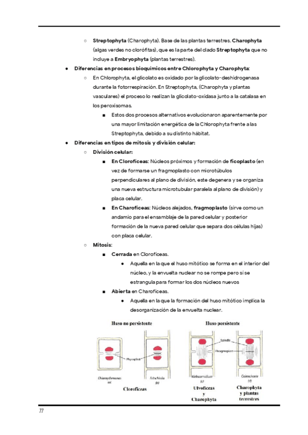 Miniatura del documento Apuntes-de-clase.-Diversidad-1er-cuatri-20.pdf